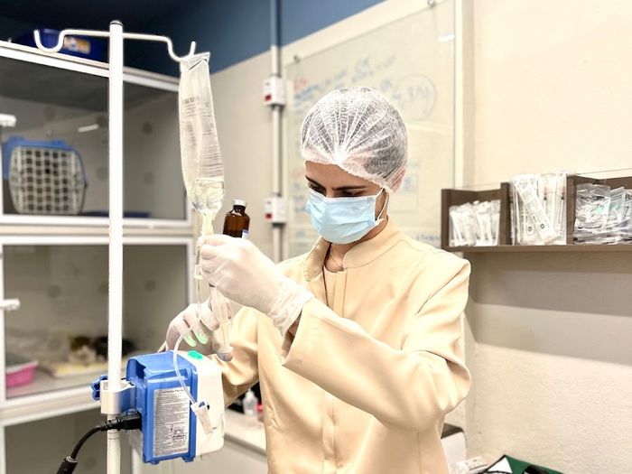 Profissional da Doctor Cat, de touca e máscara, preparando soro em bomba de infusão ao lado das gaiolas de internação