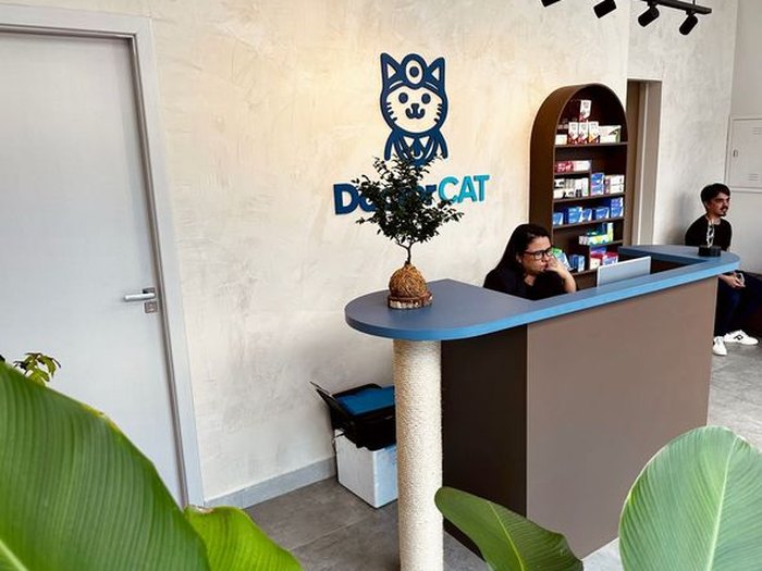 Recepção da Doctor Cat, com balcão de atendimento, arranhador na coluna e o logo da clínica na parede